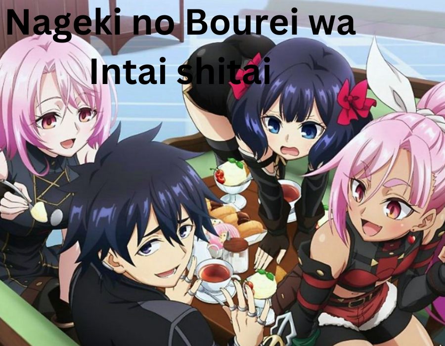 Nageki no Bourei wa Intai shitai, Sinopsis dan Karakter Pemain