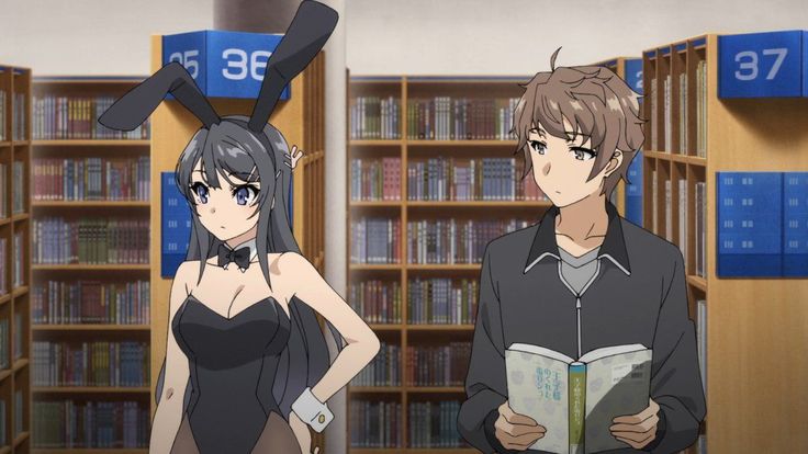 Sinopsis dan 6 Karakter Utama Seishun Buta Yarou wa Bunny Girl Senpai